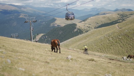 Animales y naturaleza en el pirineo